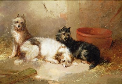 Drei Terrier von George Armfield